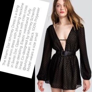 WILDFOX Whitney Swiss Dot mini dress (tunic?)